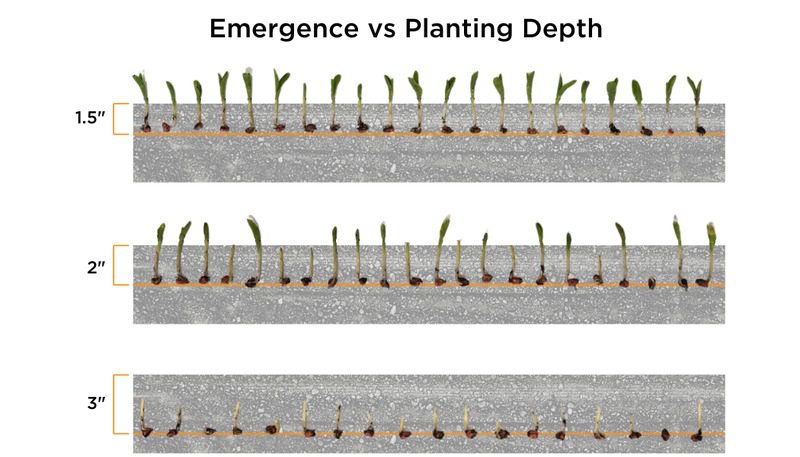 Emergence_vs_Planting_Depth