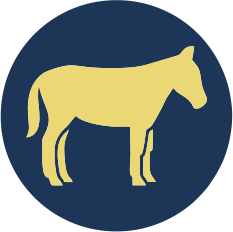 icon-equine
