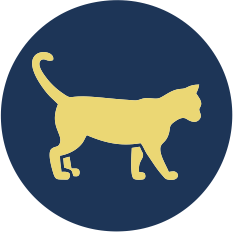 icon-pet-cat